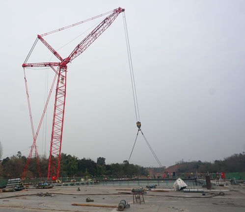 飞虹跨江渐成形 成都金堂淮州湾大桥主桥吊装完成七成，开启冲刺新阶段